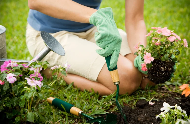 Pamant de flori bogat in nutrienti, ideal pentru ghivece si gradina