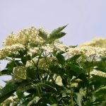 Durerea de spate lombară: de ce apare